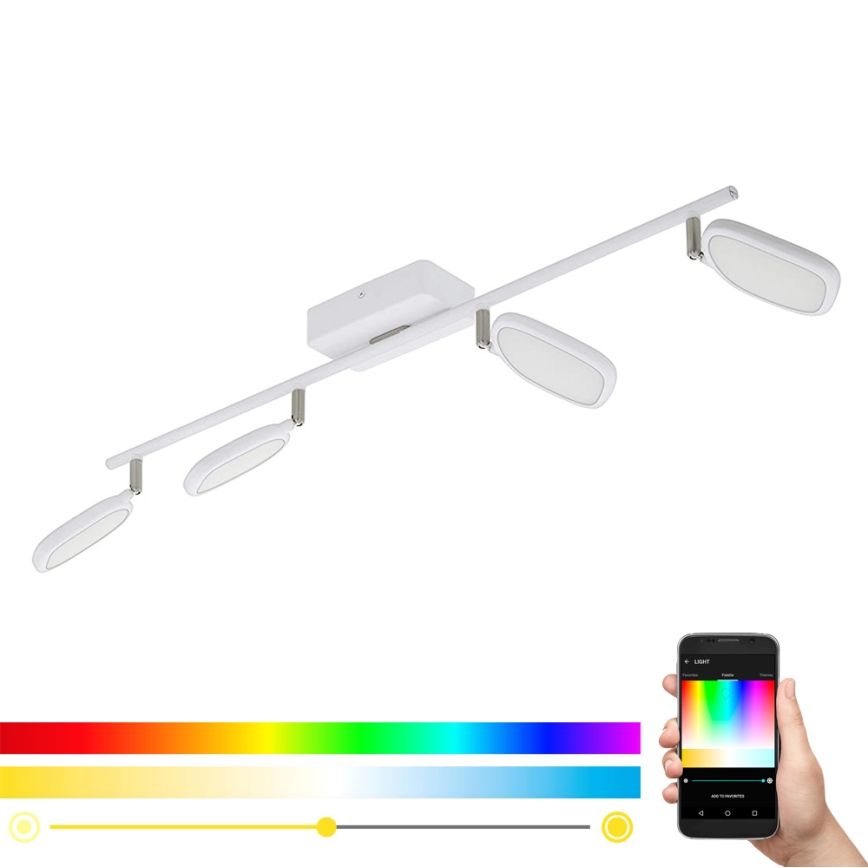 Eglo 97694 - Светильник точечный LED RGB PALOMBARE-C 4xLED/5W/230V