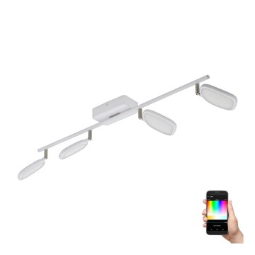 Eglo 97694 - Светильник точечный LED RGB PALOMBARE-C 4xLED/5W/230V