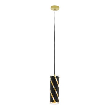 Eglo 97766 - Подвесной светильник на тросе PINTO NERO 1 1xE27/60W/230V
