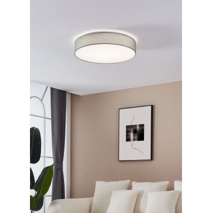 Eglo - Світлодіодний стельовий світильник з регульованою яскравістю LED/40W/230V