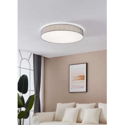 Eglo - Світлодіодний стельовий світильник з регульованою яскравістю LED/60W/230V