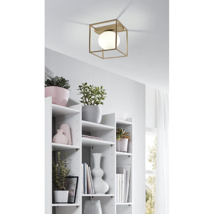 Eglo - Припотолочная люстра 1xE14/40W/230V