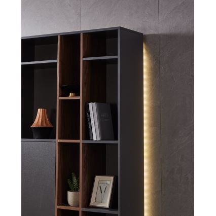 Eglo - RGB Світлодіодна стрічка з регулятором яскравості LED/10W/230V IP20 2м