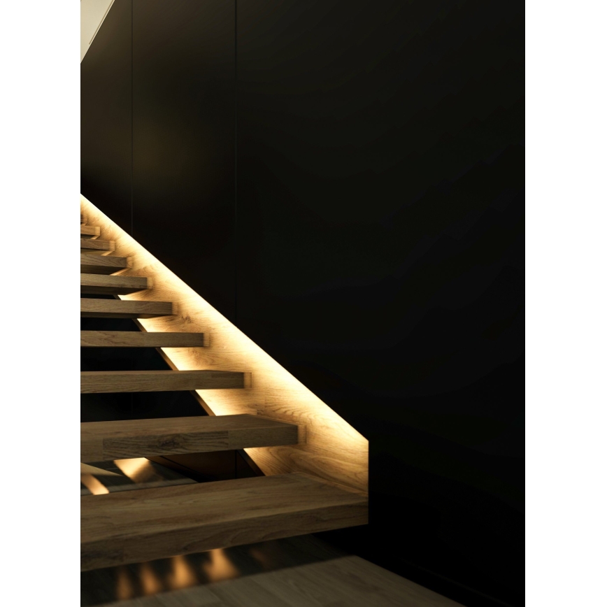 Eglo - RGB Світлодіодна стрічка з регулятором яскравості LED/10W/230V IP20 2м