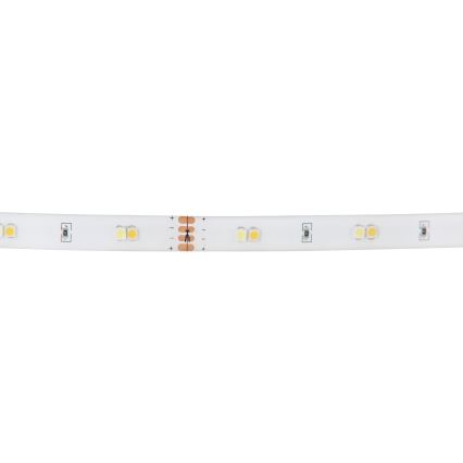 Eglo - RGB Світлодіодна стрічка з регулятором яскравості LED/10W/230V IP20 2м