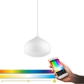 Eglo 98047 - LED RGBW регульована люстра на тросі COMBA-C LED/18W/230V