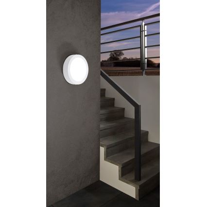 Eglo - Светодиодный уличный светильник с регулированием яркости ARGOLIS-C LED/16,5W/230V IP44