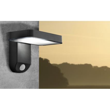 Eglo - Світлодіодний настінний світильник з датчиком на сонячній батареї LED/4,5W/3,7V IP44