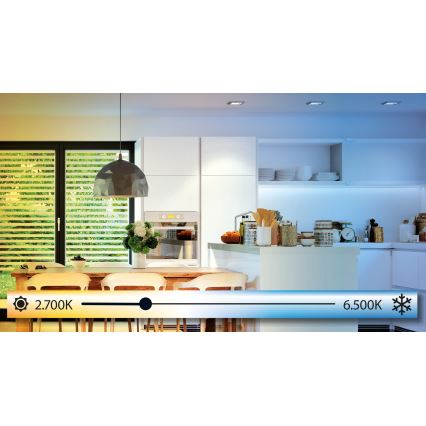 Eglo - Світлодіодний стельовий світильник з регульованою яскравістю LED/19,5W/230V + ДК