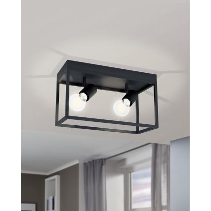 Eglo 98332 - Потолочный светильник SILENTINA 2xE27/40W/230V