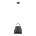 Eglo 98349 - Подвесной светильник BEDNALL на тросе 1xE27/60W/230V