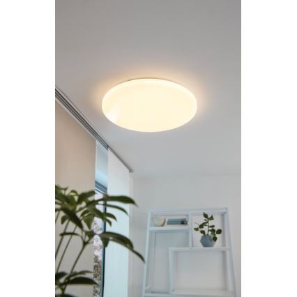 Eglo - Світлодіодний стельовий світильник LED/49,5W/230V