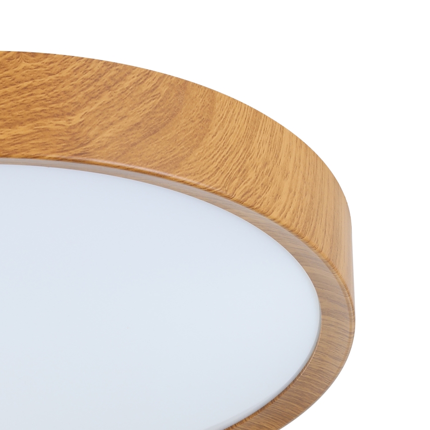 Eglo - Стельовий LED світильник LED/14,6W/230V