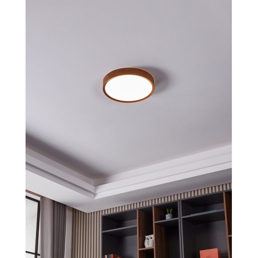 Eglo - Стельовий LED світильник LED/14,6W/230V