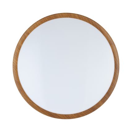 Eglo - Светодиодный потолочный светильник LED/14,6W/230V