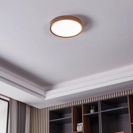 Eglo - Світлодіодний стельовий світильник LED/33,5W/230V