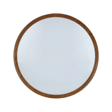 Eglo - Світлодіодний стельовий світильник LED/33,5W/230V