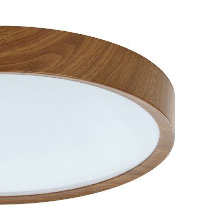 Eglo - Світлодіодний стельовий світильник LED/33,5W/230V