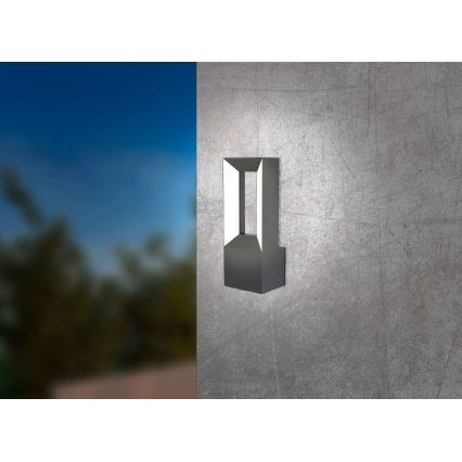 Eglo - Светодиодный уличный светильник RIFORANO 2xLED/5W/230V IP44