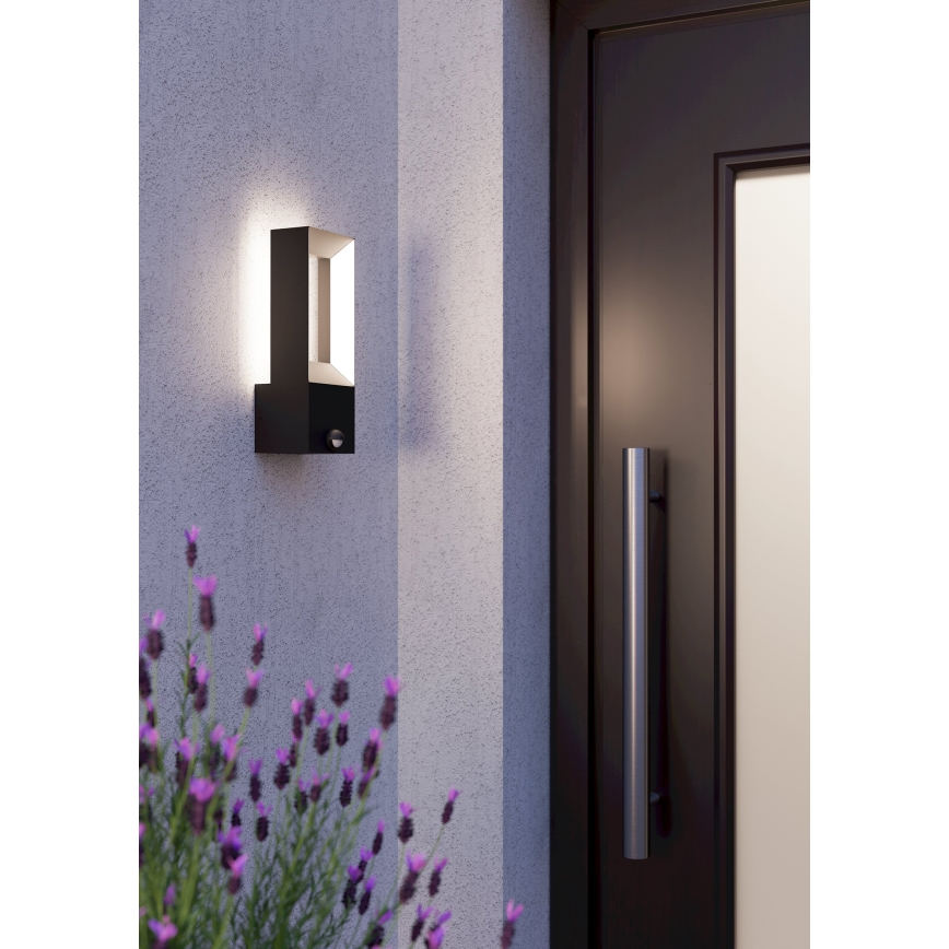 Eglo - LED Вуличний світильник з датчиком 2xLED/5W/230V IP44