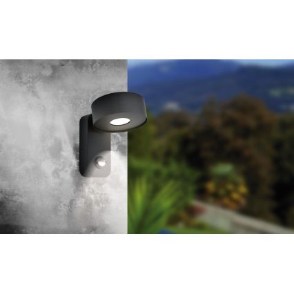 Eglo - Вуличний світлодіодний настінний світильник з датчиком LED/6W/230V IP44