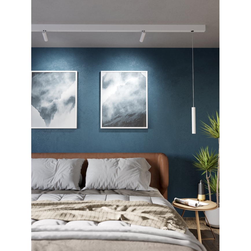 Eglo - Светодиодный точечный светильник для трековой системы 1xLED/9W/230V