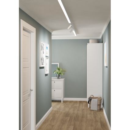 Eglo - Точковий LED світильник для трекових систем 1xLED/9W/230V