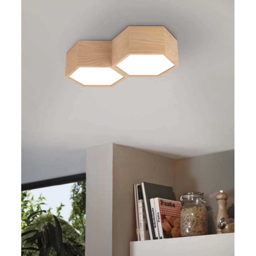 Eglo - Потолочный светильник 2xE27/9W/230V