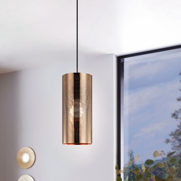 Eglo 99016 - Подвесной светильник на тросе TABIAGO 1xE27/40W/230V