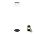 Eglo 99037 - LED RGB підлогова лампа з регулюванням яскравості BRIAGLIA-C LED/24,8W/230V