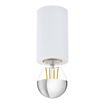 Eglo 99066 - Потолочный светильник SALUZZO 1xE27/40W/230V