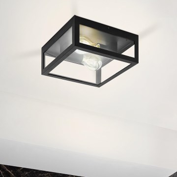 Eglo 99122 - Потолочный светильник для ванной комнаты AMEZOLA 2xE27/40W/230V