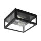 Eglo 99122 - Потолочный светильник для ванной комнаты AMEZOLA 2xE27/40W/230V