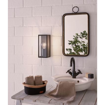 Eglo 99123 - Настенный светильник для ванной комнаты AMEZOLA 1xE27/60W/230V