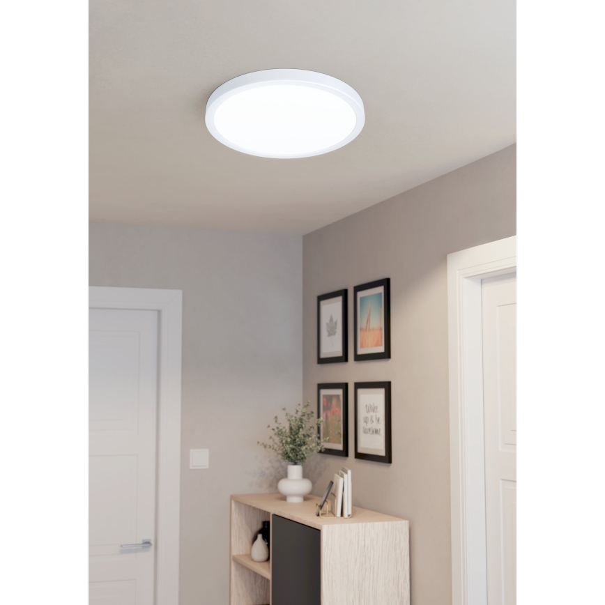 Eglo - Світлодіодний стельовий світильник LED/20W/230V