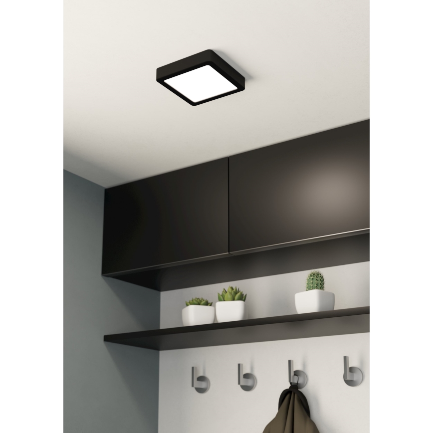 Eglo - Світлодіодний стельовий світильник LED/10,5W/230V