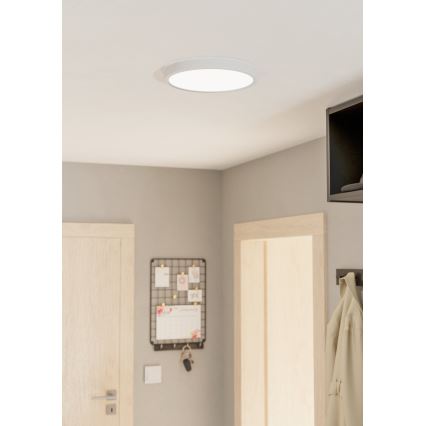 Eglo - LED Димерний стельовий світильник LED/20W/230V