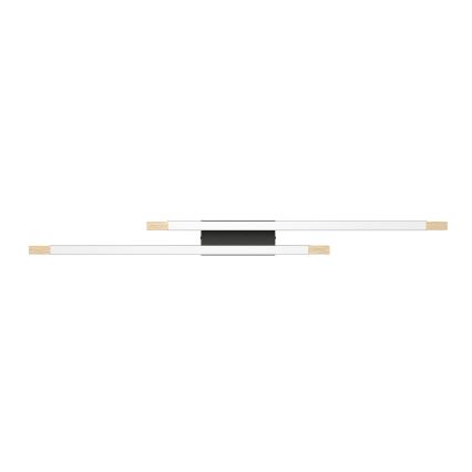 Eglo - Стельовий LED світильник з регулюванням яскравості 2xLED/10W/230V