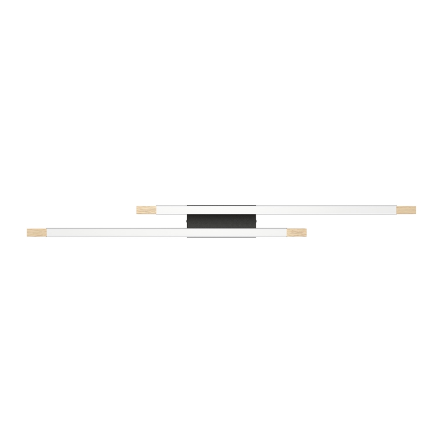 Eglo - Стельовий LED світильник з регулюванням яскравості 2xLED/10W/230V