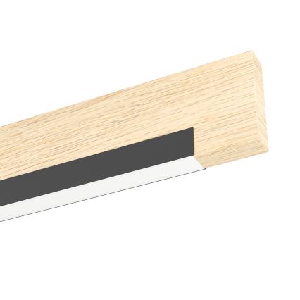 Eglo - Стельовий LED світильник з регулюванням яскравості 2xLED/10W/230V
