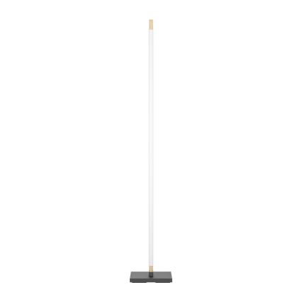 Eglo - LED Сенсорний торшер з регулюванням яскравості CAMACHO LED/22W/230V
