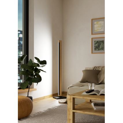 Eglo - Светодиодный сенсорный торшер с регулированием яркости CAMACHO LED/22W/230V