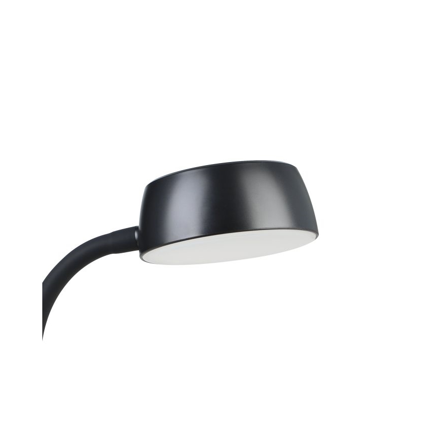 Eglo - Світлодіодна настільна лампа LED/4,5W/230V