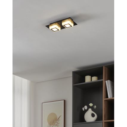 Eglo 99362 - LED потолочный светильник MASIANO 2xLED/3,3W/230V