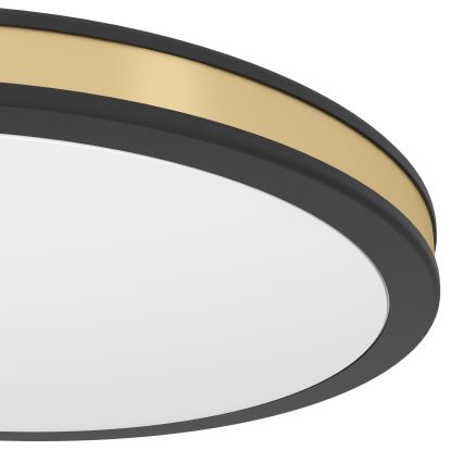 Eglo - Світлодіодний стельовий світильник LED/11W/230V