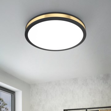 Eglo 99407 - Светодиодный потолочный светильник PESCAITO LED/24W/230V