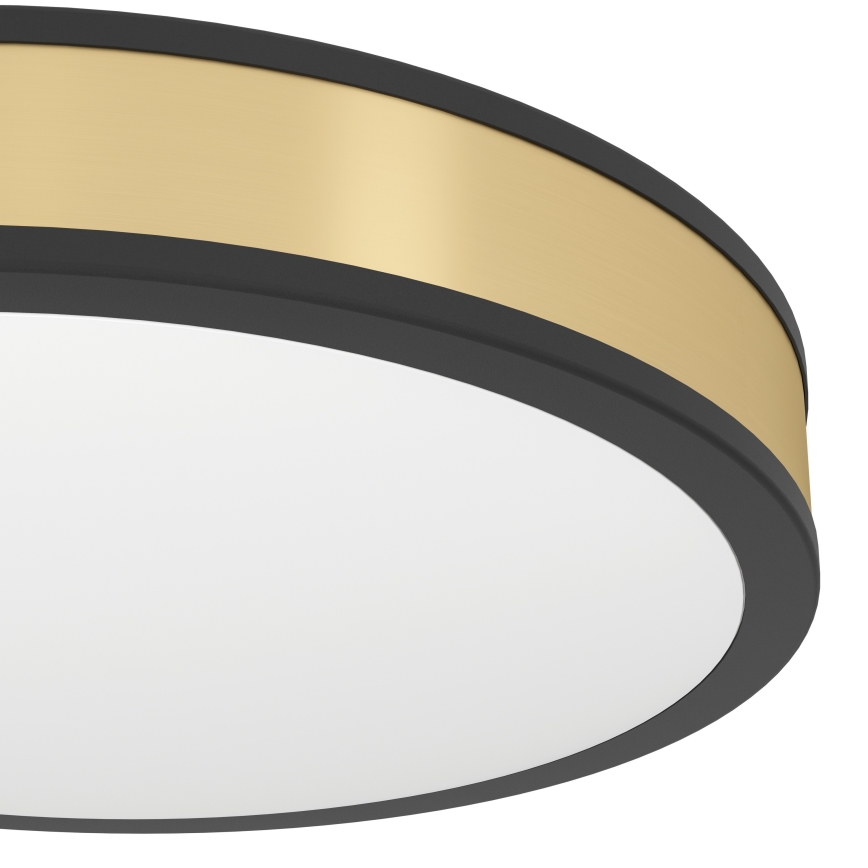 Eglo - Світлодіодний стельовий світильник LED/24W/230V