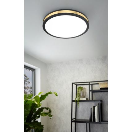 Eglo - Світлодіодний стельовий світильник LED/24W/230V