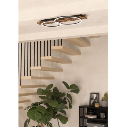 Eglo 99408 - Светодиодный потолочный светильник BOYAL 2xLED/12W/230V