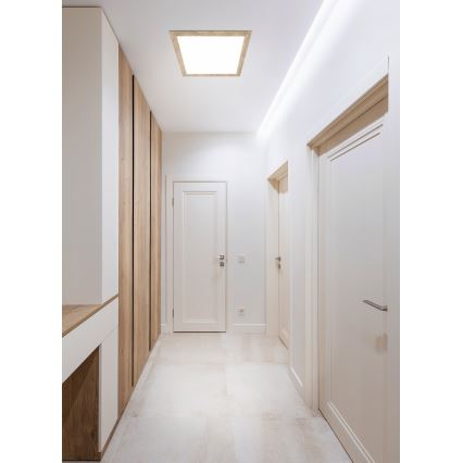Eglo - Светодиодный потолочный светильник LED/32W/230V 645x645 мм